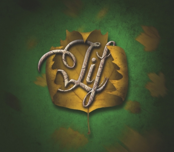 LIF -Demo- Maxi CD LIF -Demo- Maxi CD