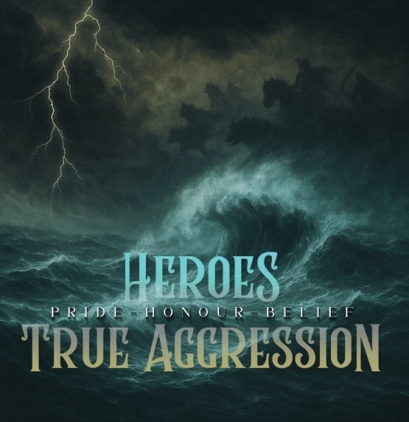 True Aggression / Heroes - Pride, Honour, Belief True Aggression / Heroes - Pride, Honour, Belief
